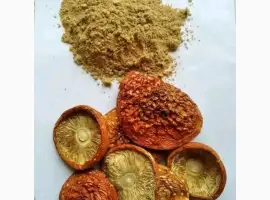 Зображення для оголошення Мухомор мелений червоний