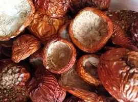 Зображення для оголошення Мухомор червоний