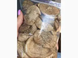 Зображення для оголошення Пантерний