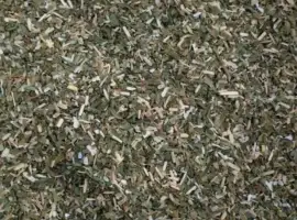 Зображення для оголошення Продам самосад