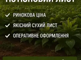 Зображення для оголошення Купимо тютюновий лист за ринковою ціною