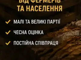 Зображення для оголошення Закупка тютюнового листа від населення та фермерів