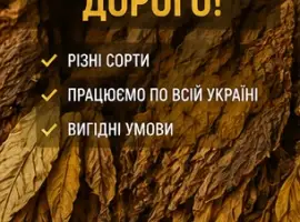 Зображення для оголошення Купуємо висушений лист тютюну дорого