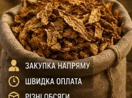 Зображення для оголошення Потрібен тютюн листовий від виробників та приватних осіб