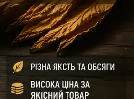 Зображення для оголошення На постійній основі купимо лист тютюну