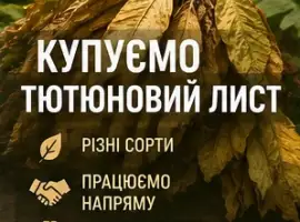 Зображення для оголошення Потрібен тютюновий лист у великих та малих об’ємах