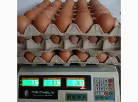 Зображення для оголошення Куриные яйца