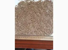 Зображення для оголошення Продам кориандр 95 тн