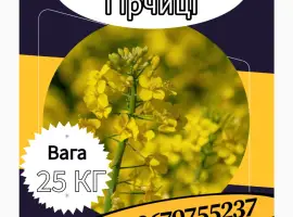 Зображення для оголошення Насіння Гірчиці. Семена Горчицы. Сидерати. Насіння Гірчиці Біла