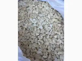 Куплю гарбузове насиня украинка турка голосемяне болгарка и ledynail