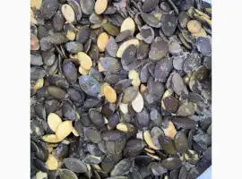 Насіння гарбуза Голосемянноіі