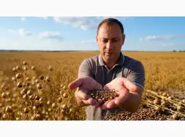 Насіння льону Каолін
