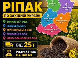 Зображення для оголошення Куплю ріпак по західній Україні. Розрахунок на вагах