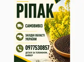 Зображення для оголошення Куплю ріпак