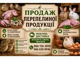 Зображення для оголошення Продам перепелину продукцію яйце мясо