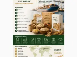 Зображення для оголошення Export Offer | Cereals