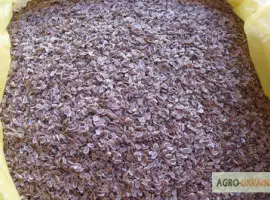 Зображення для оголошення Продам семена укропа