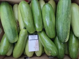 Зображення для оголошення Продам кабачки 2 сорт