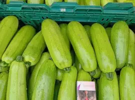 Зображення для оголошення Продам кабачок 1 сорт