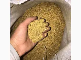 Зображення для оголошення ЛАПША. Фабричний тютюн