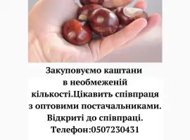 Зображення для оголошення Закуповуємо сирий каштан в сезон