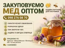 Закуповуємо мед оптом на постійній основі