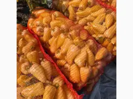Зображення для оголошення Продам перец