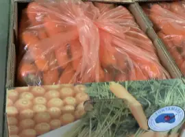 Зображення для оголошення Продаж морква для борщового набору оптом оптом від 5 тонн Кіровоградська обл