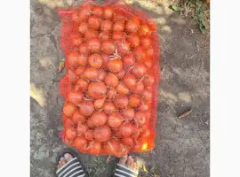 Зображення для оголошення Продам лук