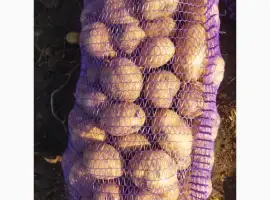 Продам товарну картоплю