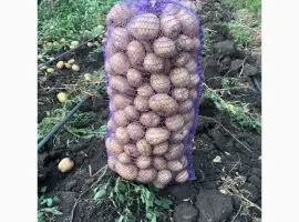 Продам посадкову рівʼєру друга репродукція