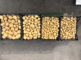 Пролам смачну молоду картоплю рівьєра