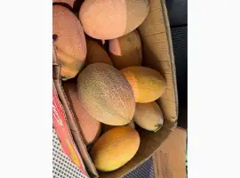 Продам диню
