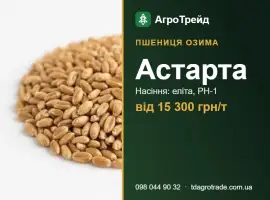 Зображення для оголошення Пшениця Астарта — насіння, від 15 300 грн/т