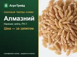 Зображення для оголошення Пшениця тверда Алмазний — насіння еліта, РН-1