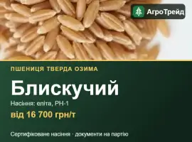 Зображення для оголошення Пшениця тверда Блискучий — насіння