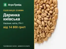 Зображення для оголошення Пшениця Даринка київська — насіння