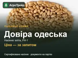 Зображення для оголошення Пшениця Довіра одеська — насіння еліта, РН-1