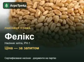 Зображення для оголошення Пшениця Фелікс — насіння еліта, РН-1