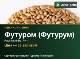 Зображення для оголошення Пшениця Футуром (Футурум) — насіння еліта, РН-1