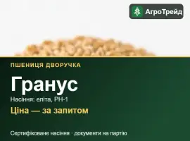 Зображення для оголошення Пшениця дворучка Гранус — насіння еліта, РН-1