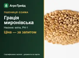 Зображення для оголошення Пшениця Грація миронівська — насіння еліта, РН-1