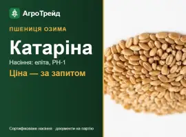 Зображення для оголошення Пшениця Катаріна — насіння еліта, РН-1