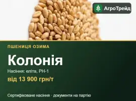 Зображення для оголошення Пшениця Колонія — насіння, від 13 900 грн/т