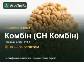 Зображення для оголошення Пшениця Комбін (СН Комбін) — насіння еліта, РН-1