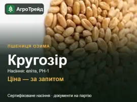 Зображення для оголошення Пшениця Кругозір — насіння еліта, РН-1