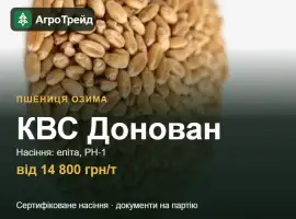 Зображення для оголошення Пшениця КВС Донован — насіння, від 14 800 грн/т