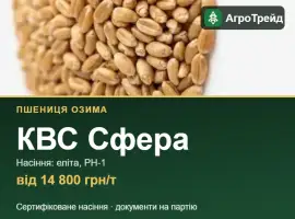 Зображення для оголошення Пшениця КВС Сфера — насіння, від 14 800 грн/т