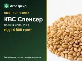 Зображення для оголошення Пшениця КВС Спенсер — насіння, від 14 800 грн/т