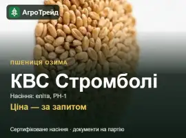 Зображення для оголошення Пшениця КВС Стромболі — насіння еліта, РН-1